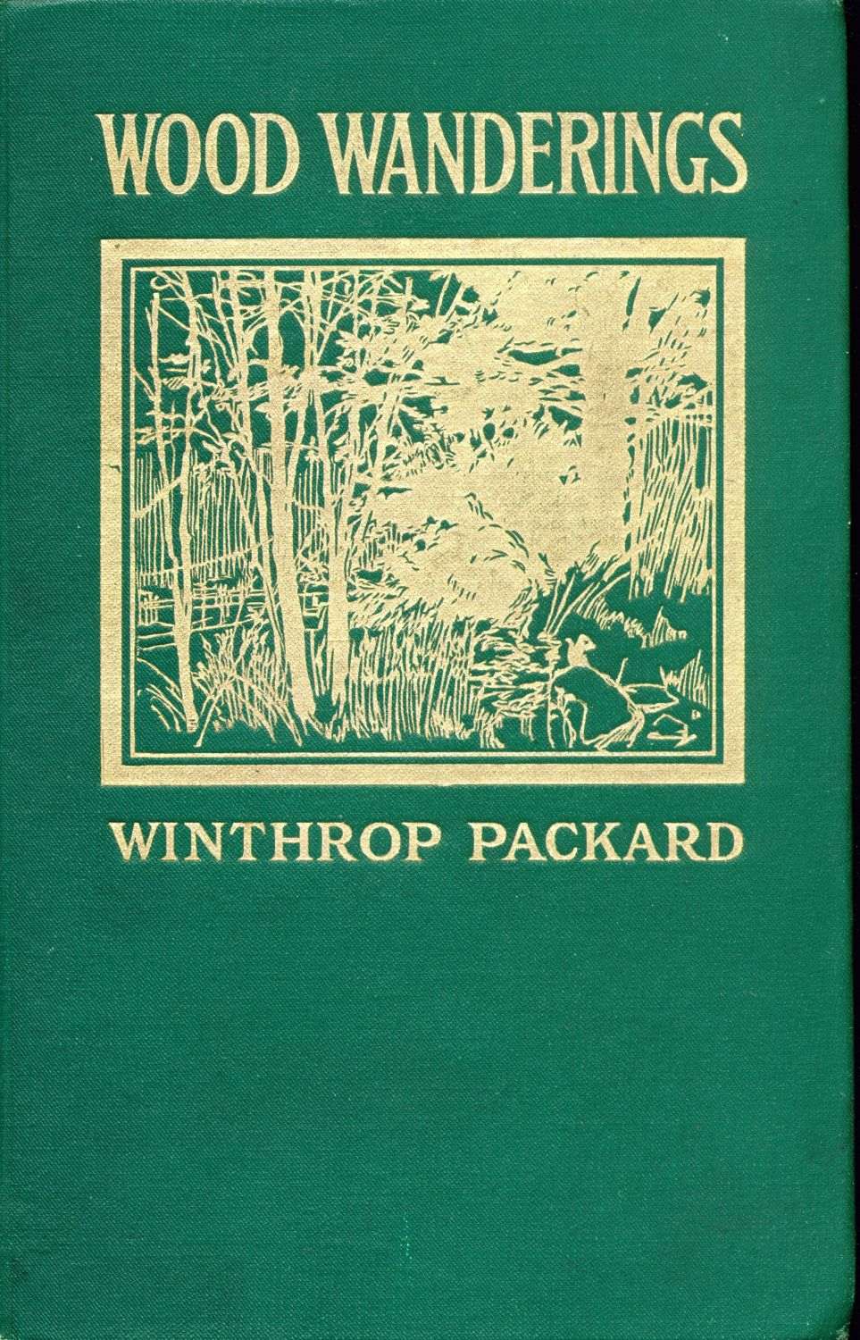 [Image of the book's cover unavailable.]
