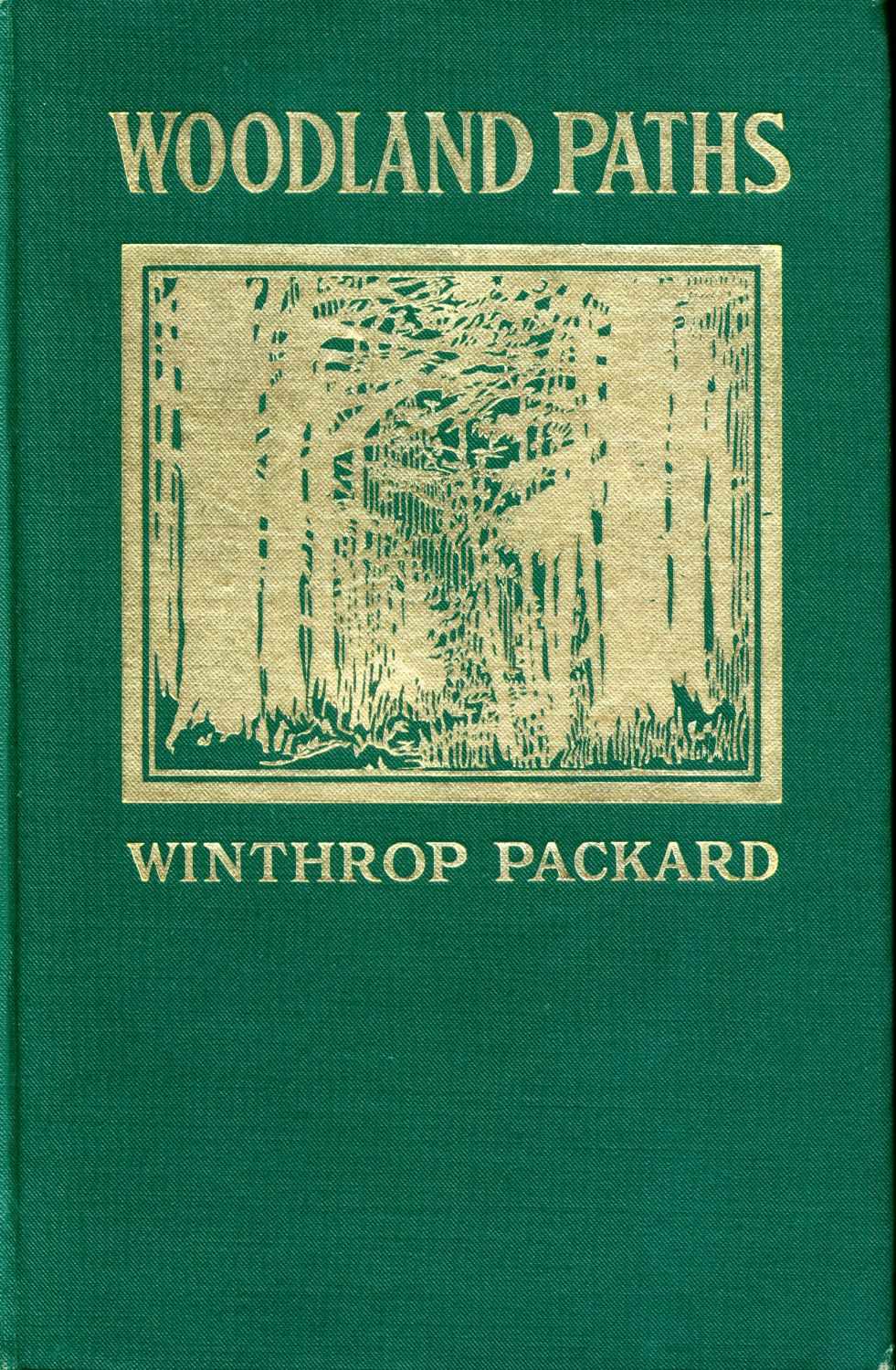 [Image of the book's cover unavailable.]