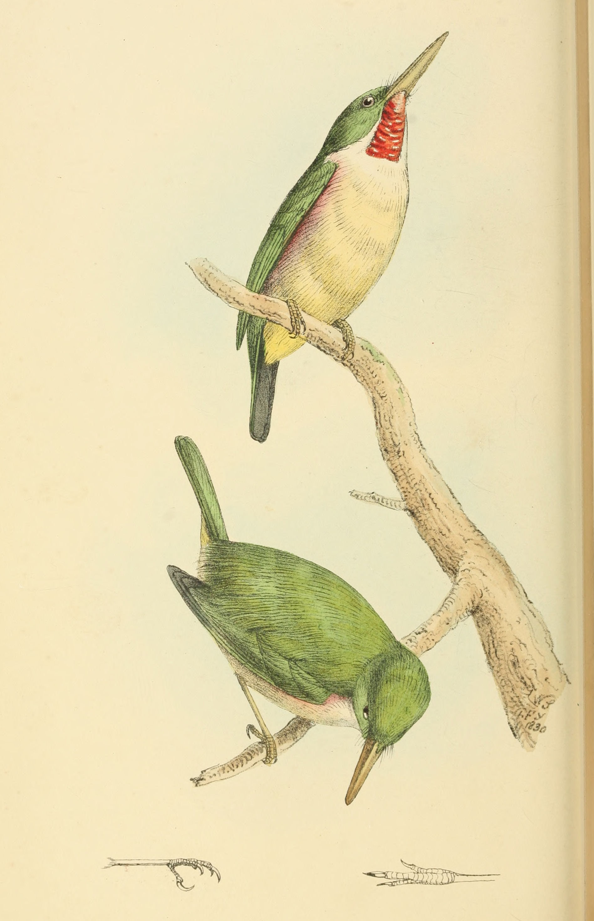 Plate 66.