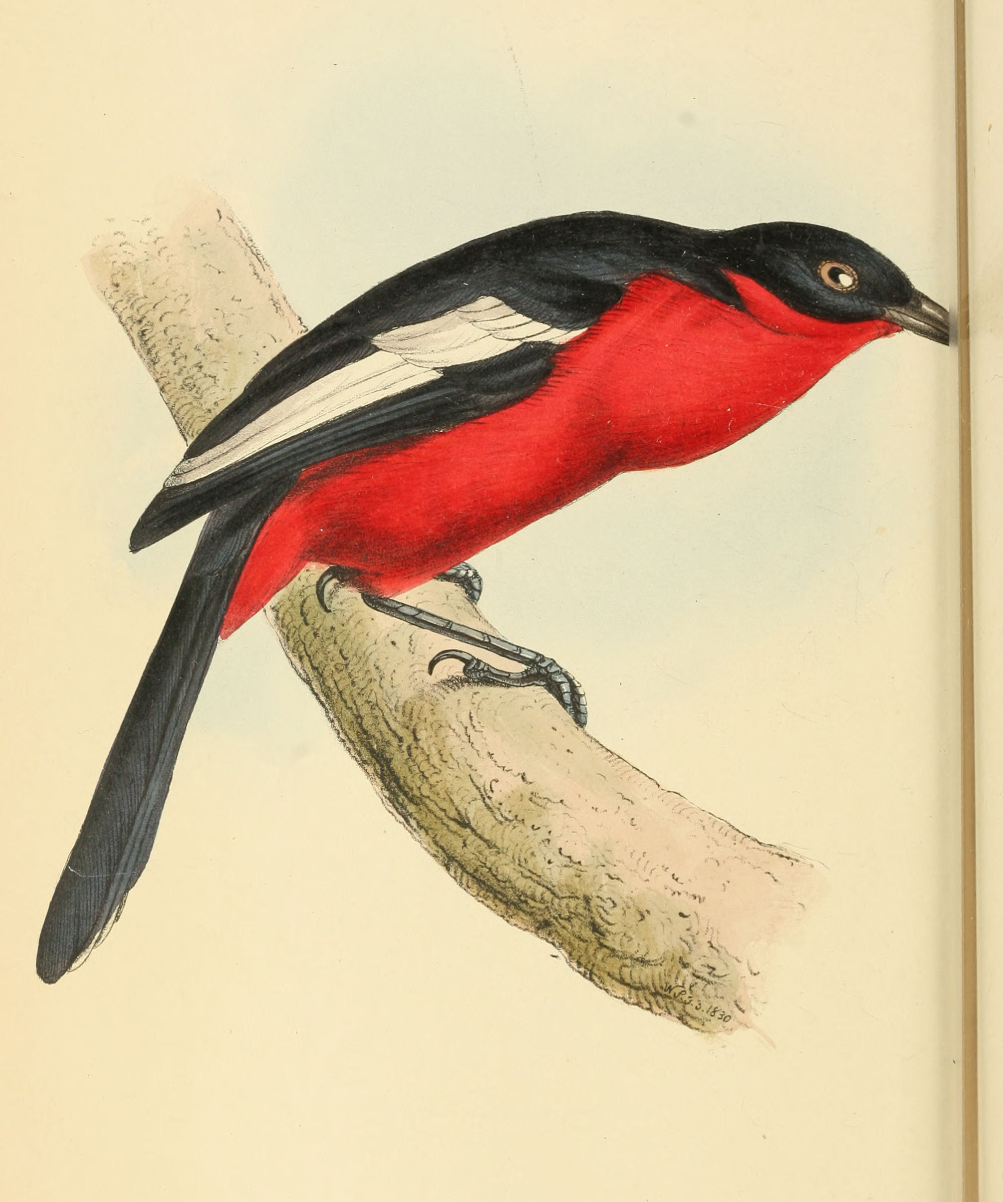 Plate 76.