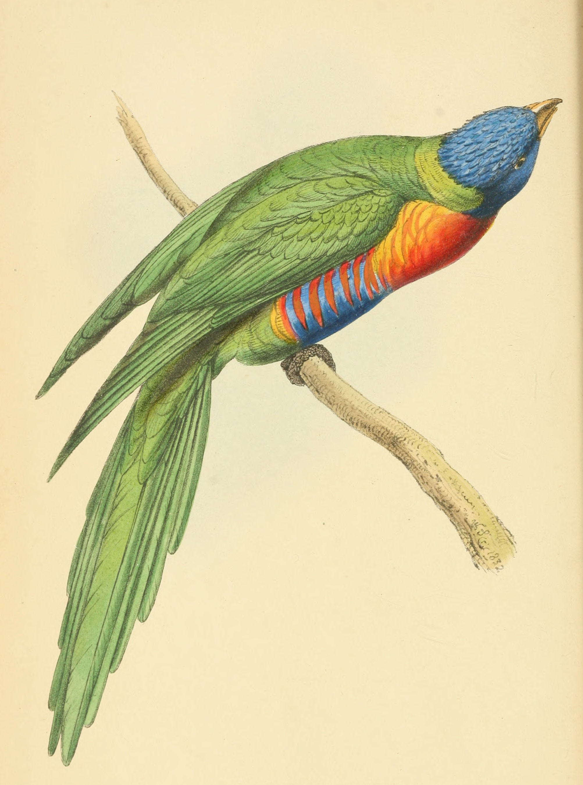 Plate 92.