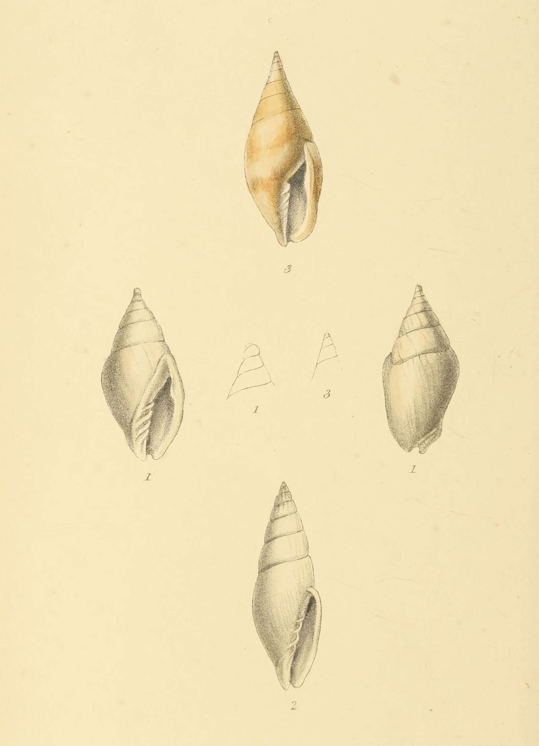 Plate 128.