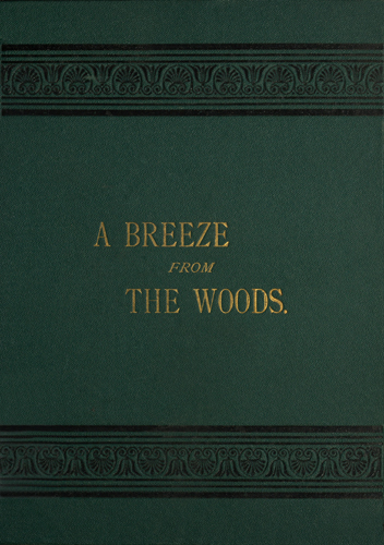 A Breeze from the Woods