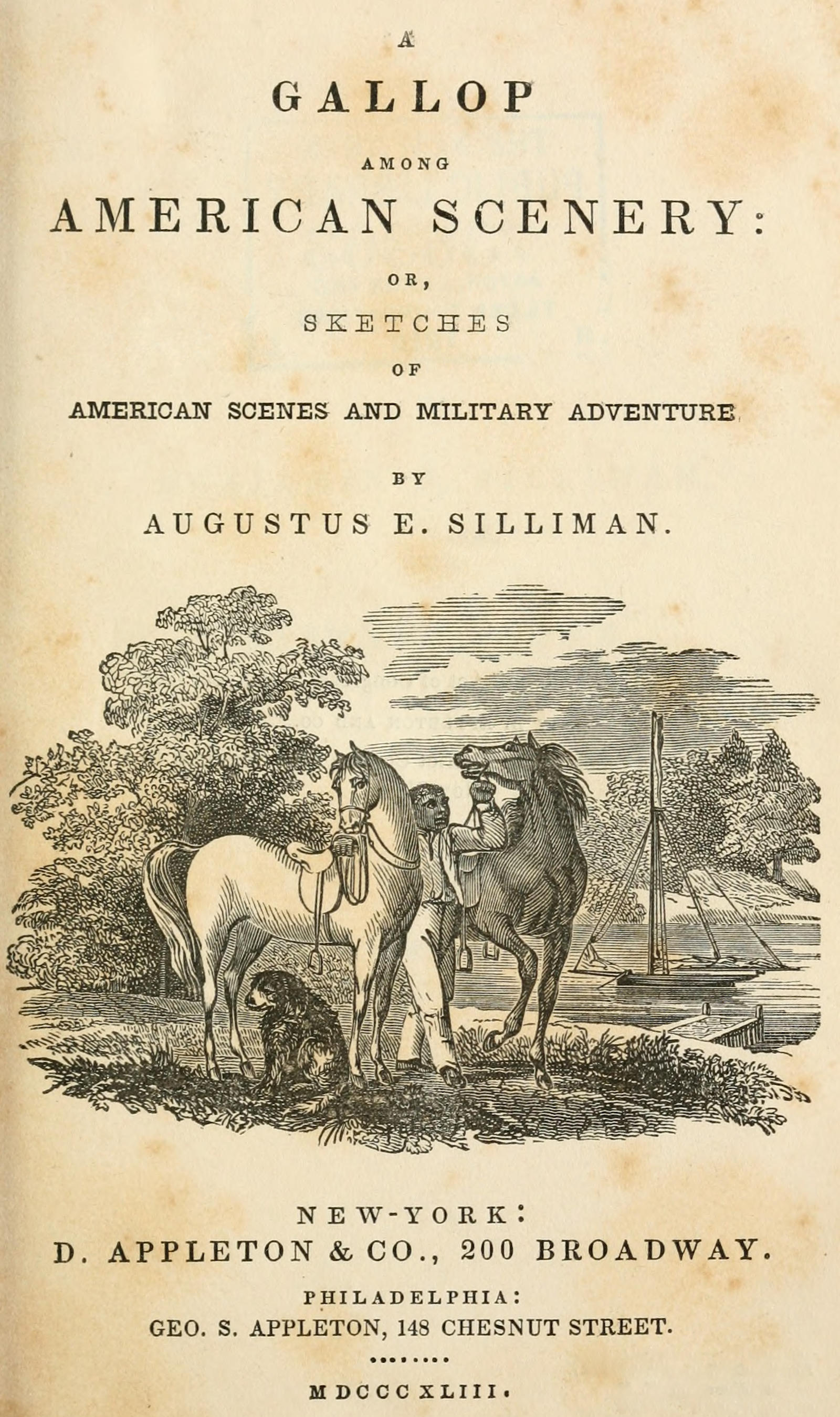 A Gallop among American Scenery