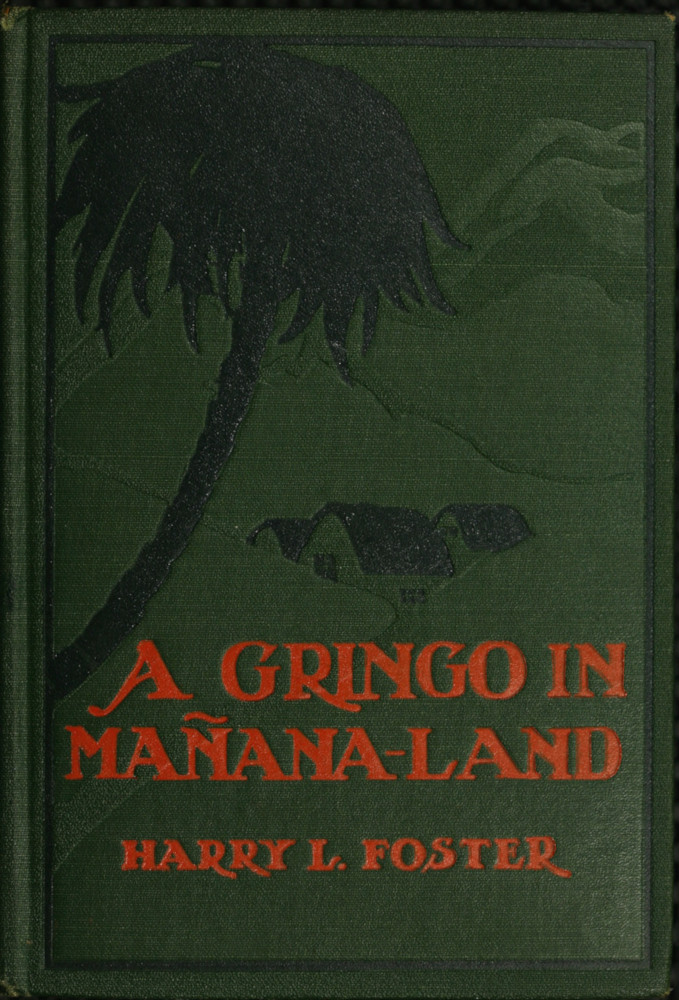 A Gringo in Mañana-land