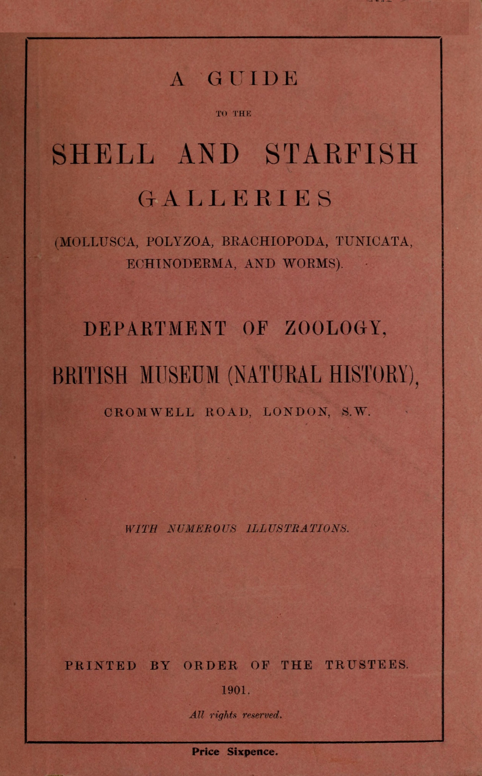 A Guide to the Shell and Starfish Galleries