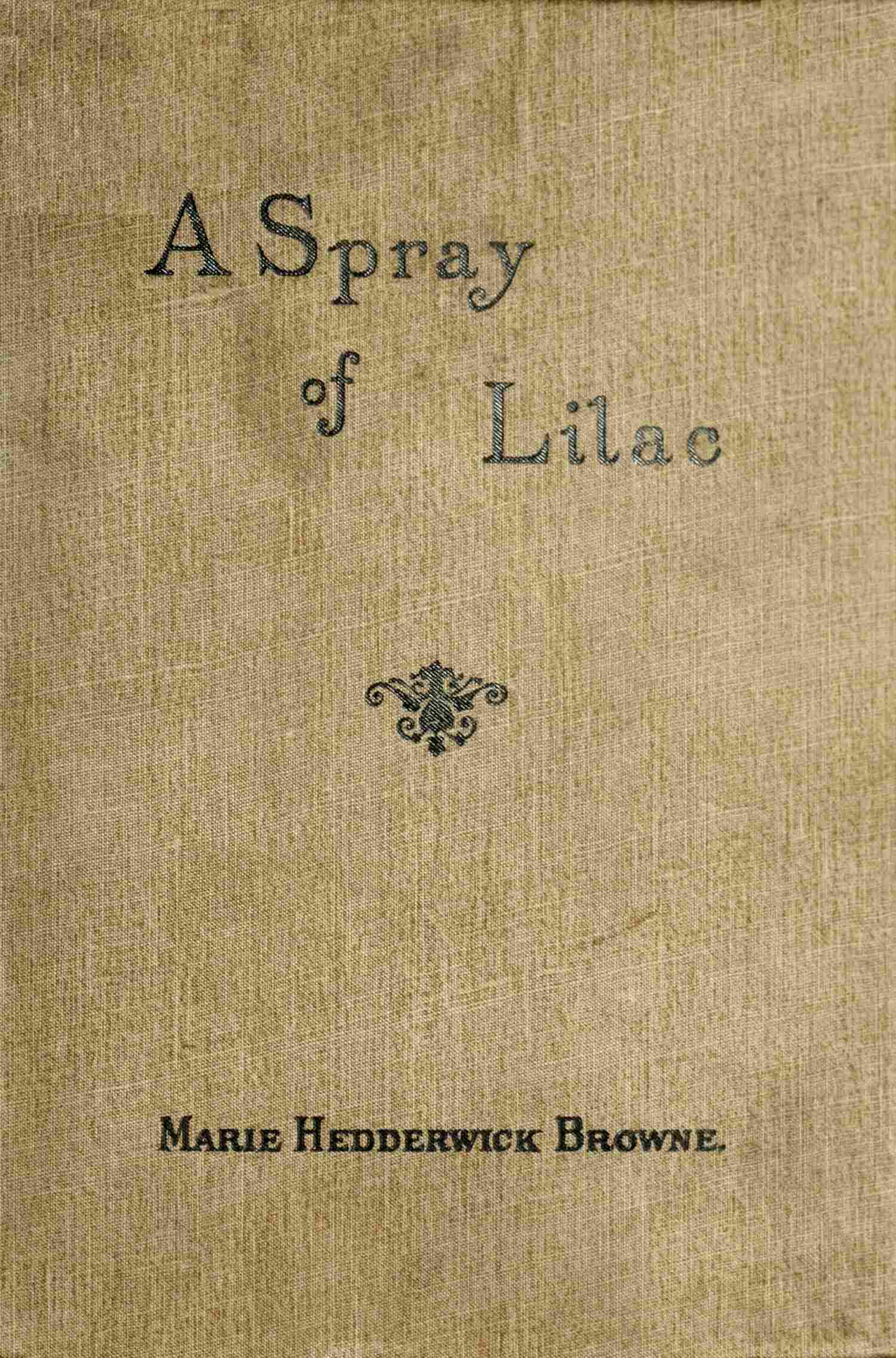 A Spray of Lilac