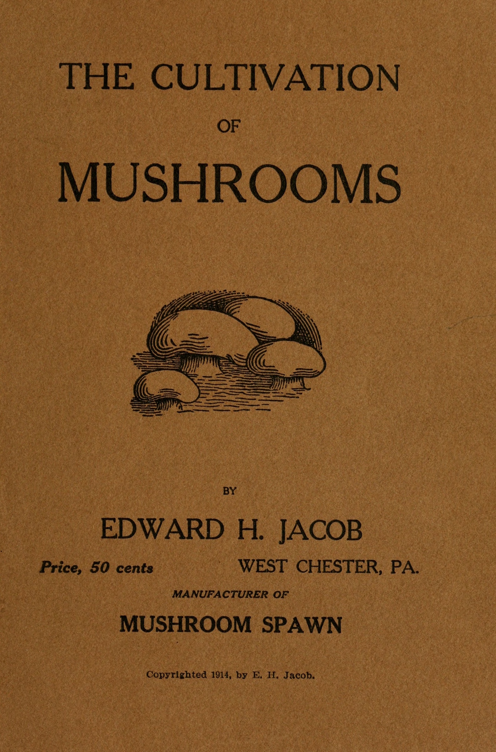 A Study of Mushrooms and Mushroom Spawn