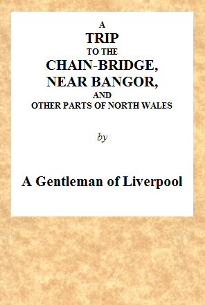 A Trip to the Chain-Bridge, near Bangor