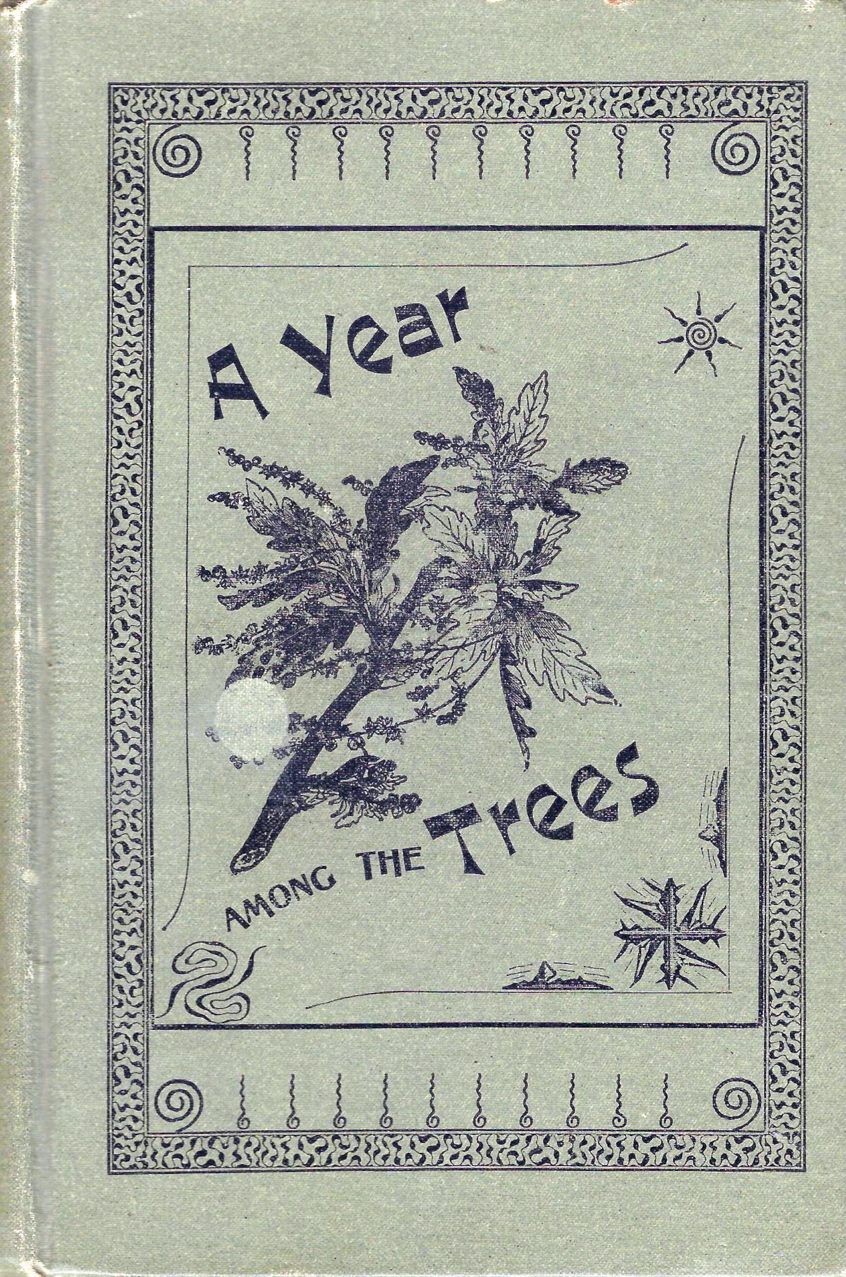 A Year among the Trees