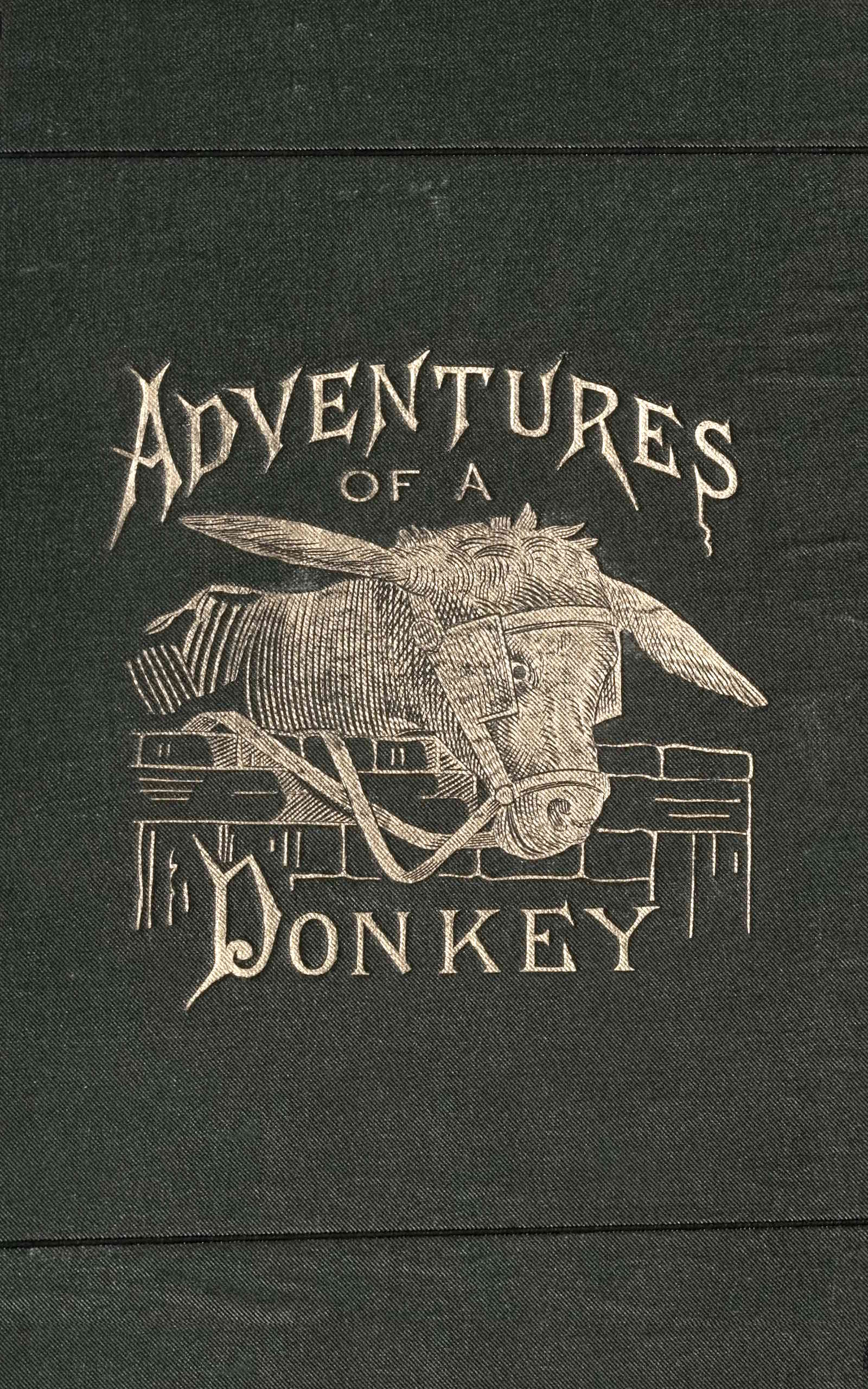 Adventures of a Donkey
