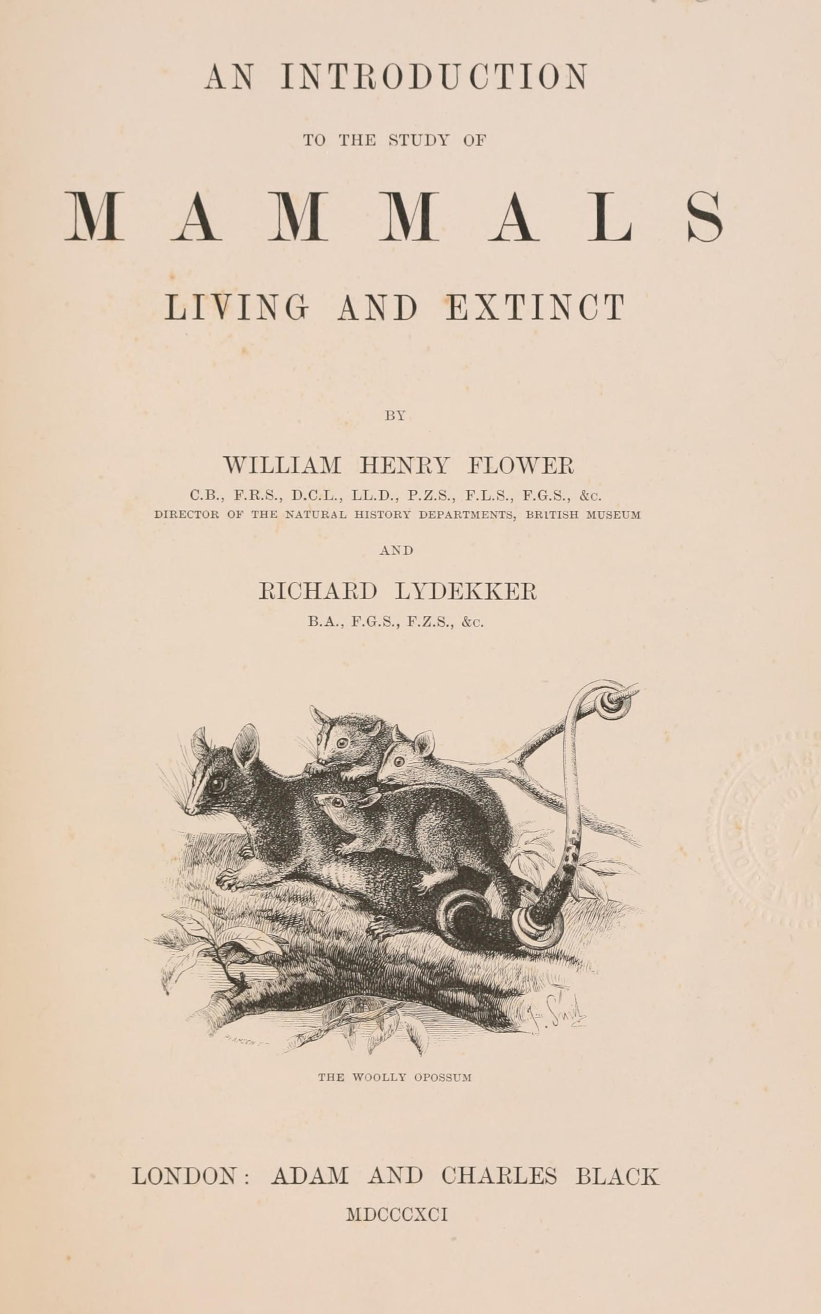 An Introduction to the Study of Mammals