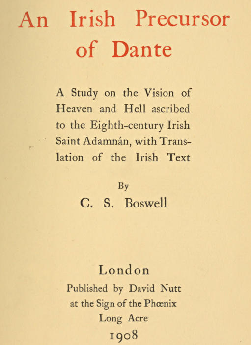 An Irish Precursor of Dante