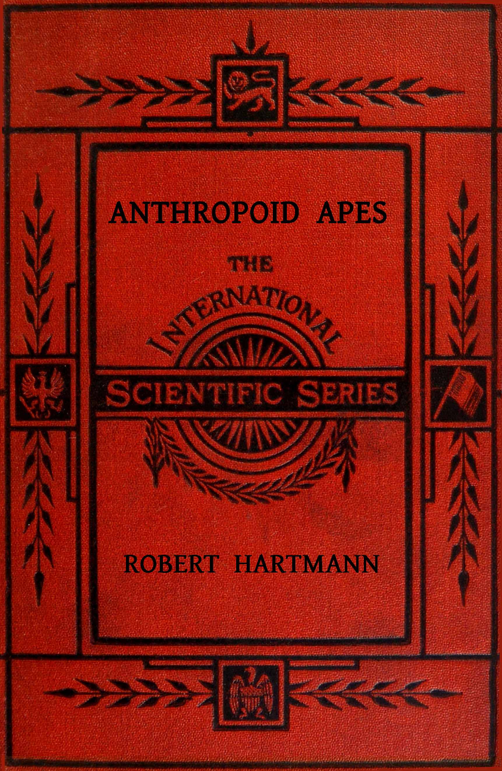 Anthropoid Apes