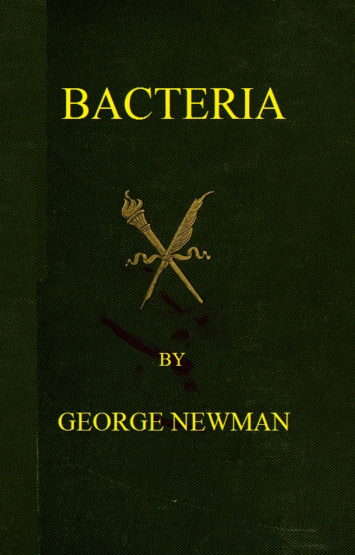 Bacteria