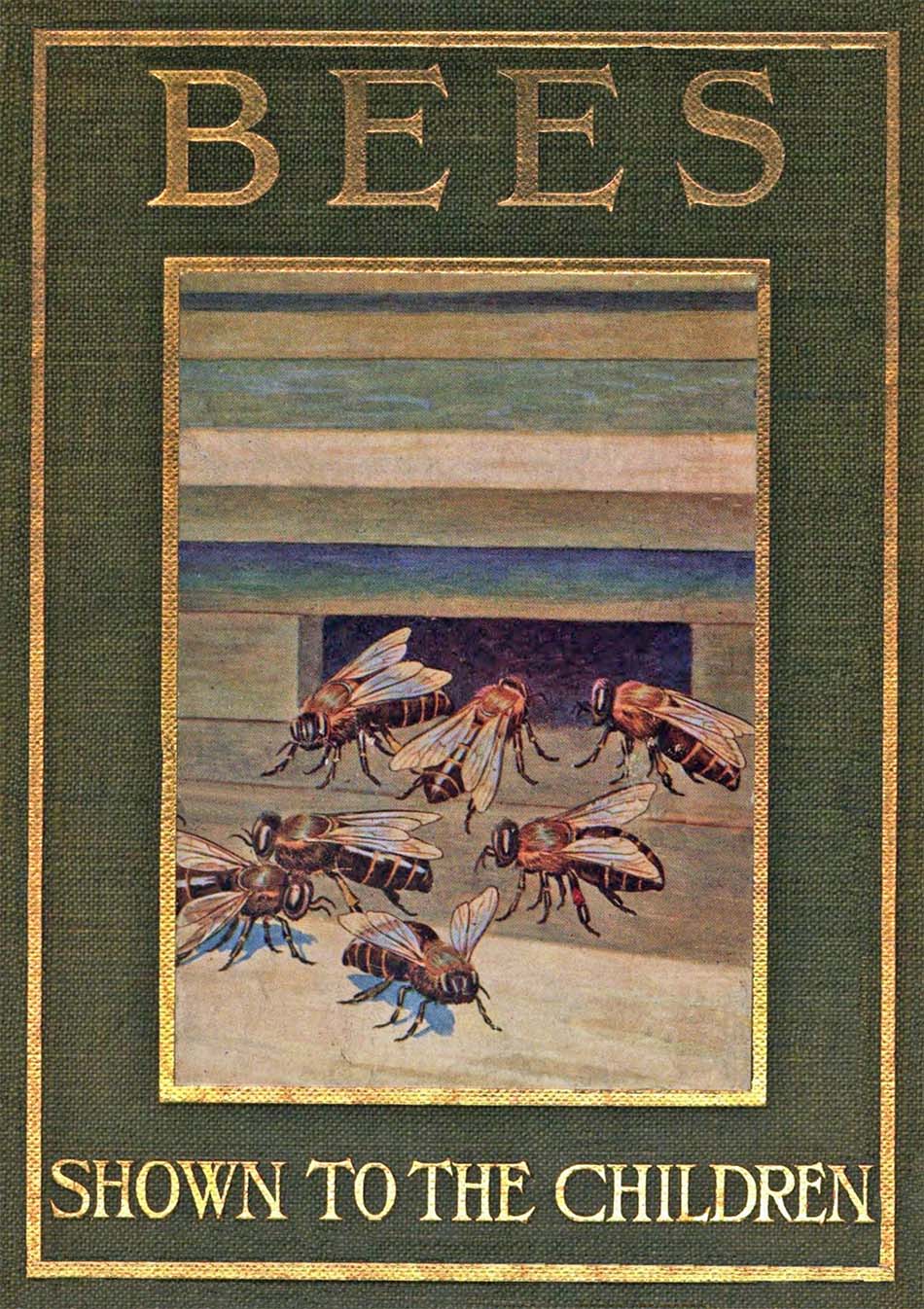 Bees: Shown to the Children