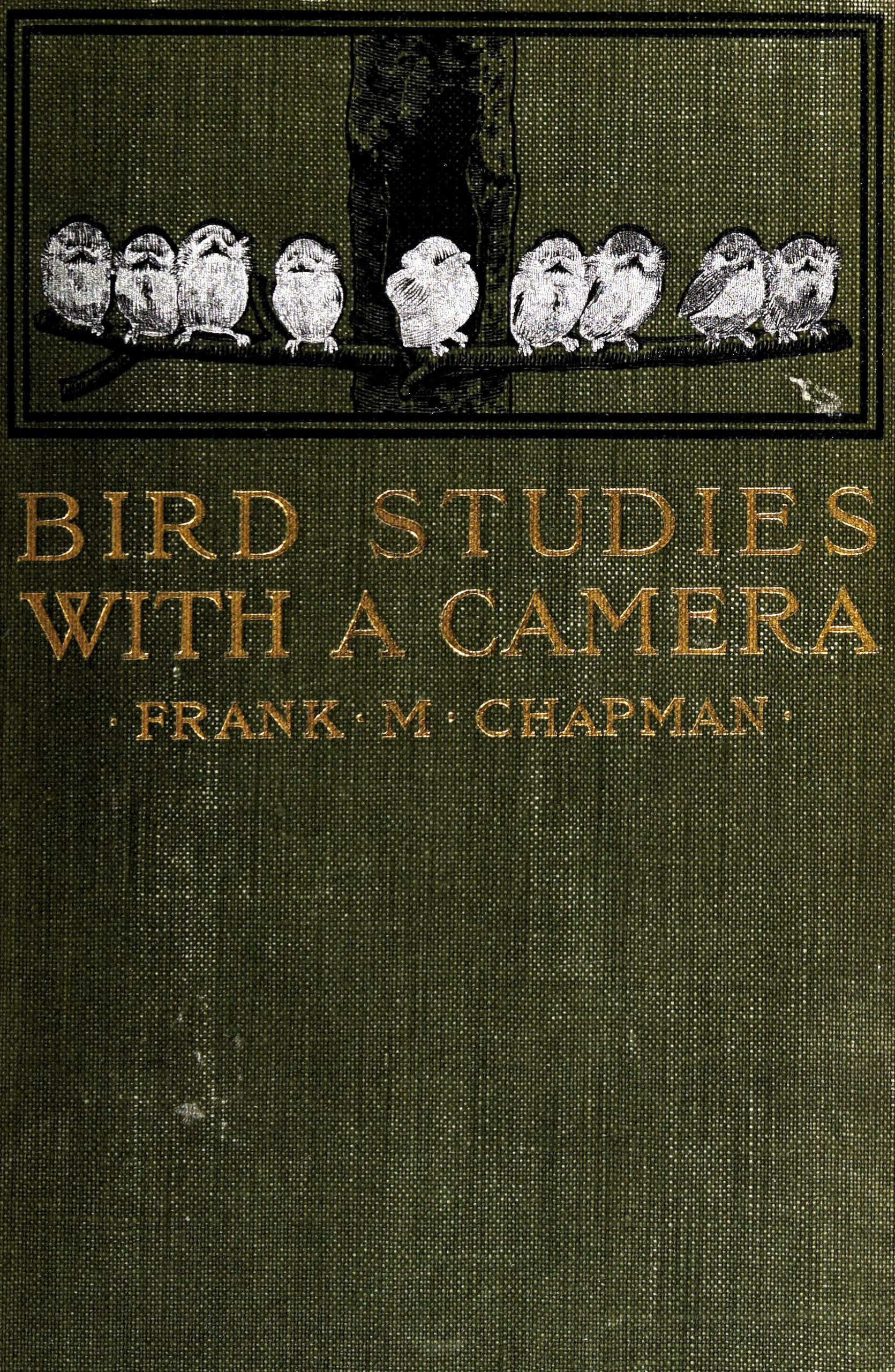 Bird Studies With a Camera