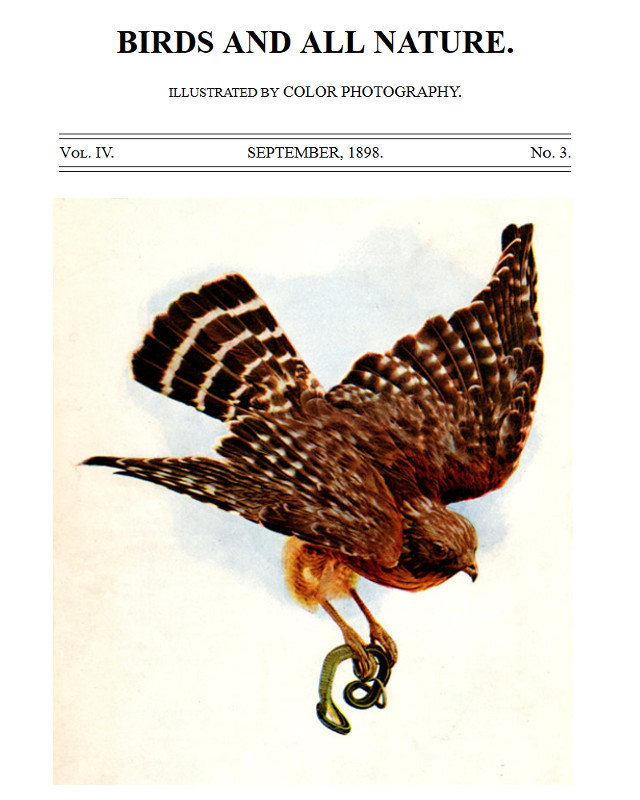 Birds and All Nature Illustrated by Color Photography Vol. IV, No. 3, September 1898