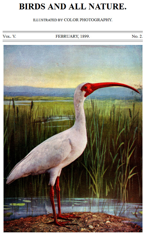 Birds and All Nature, Illustrated by Color Photography Vol. V, No. 2, February 1899