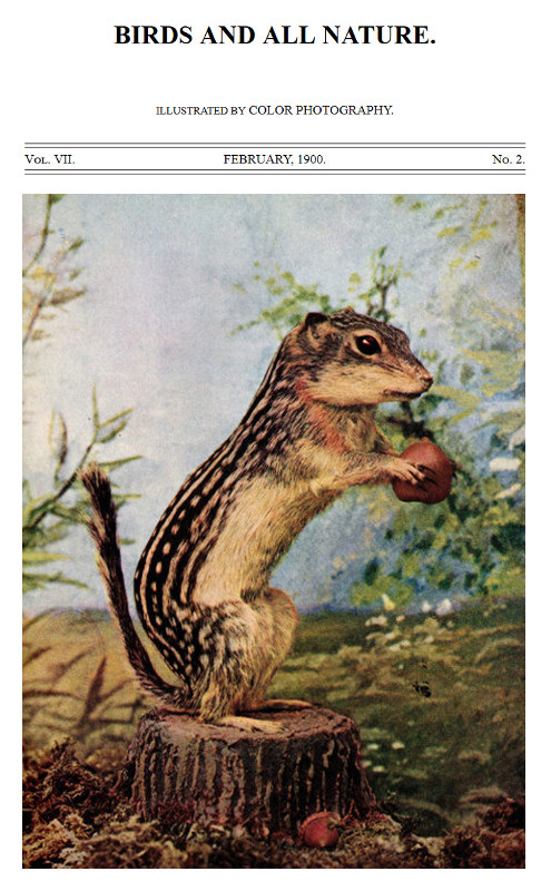 Birds and All Nature, Illustrated by Color Photography Vol. VII, No. 2, February 1900