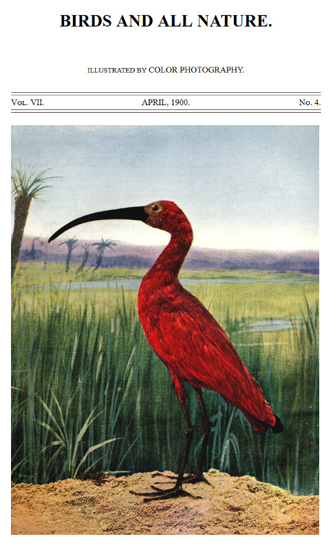 Birds and All Nature, Illustrated by Color Photography Vol. VII, No. 4, April 1900