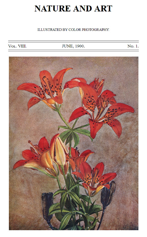 Birds and Nature in Natural Colors Vol. VIII, No. 1, June 1900