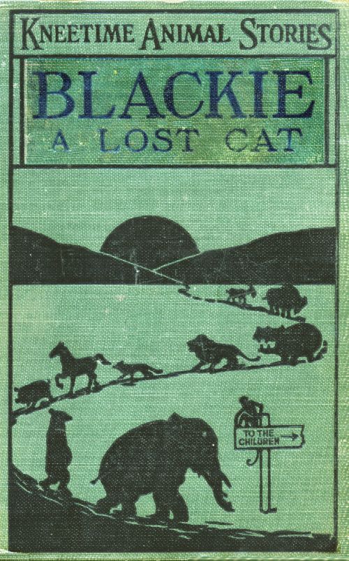 Blackie, a Lost Cat