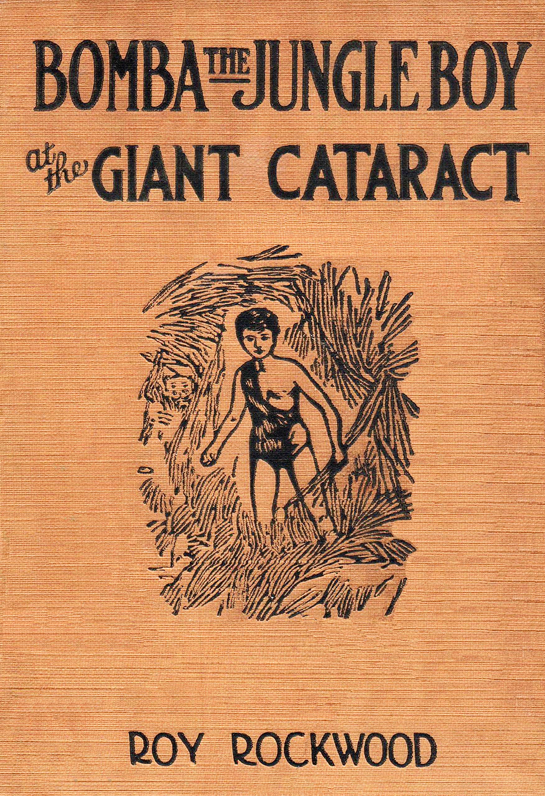 Bomba the jungle boy at the giant cataract