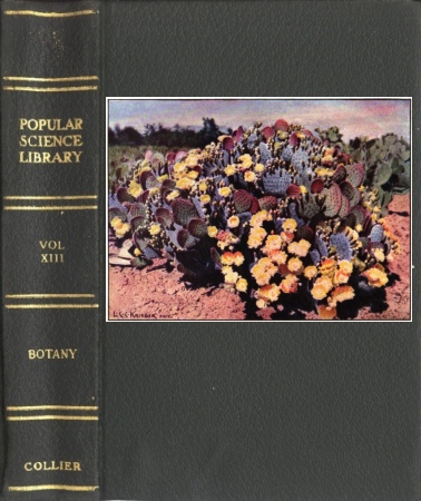 Botany