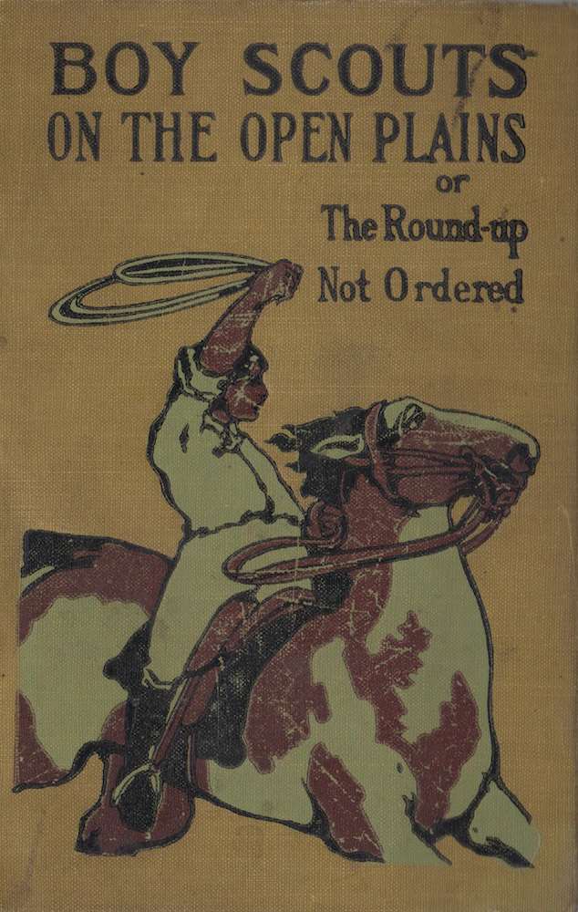 Boy Scouts on the Open Plains