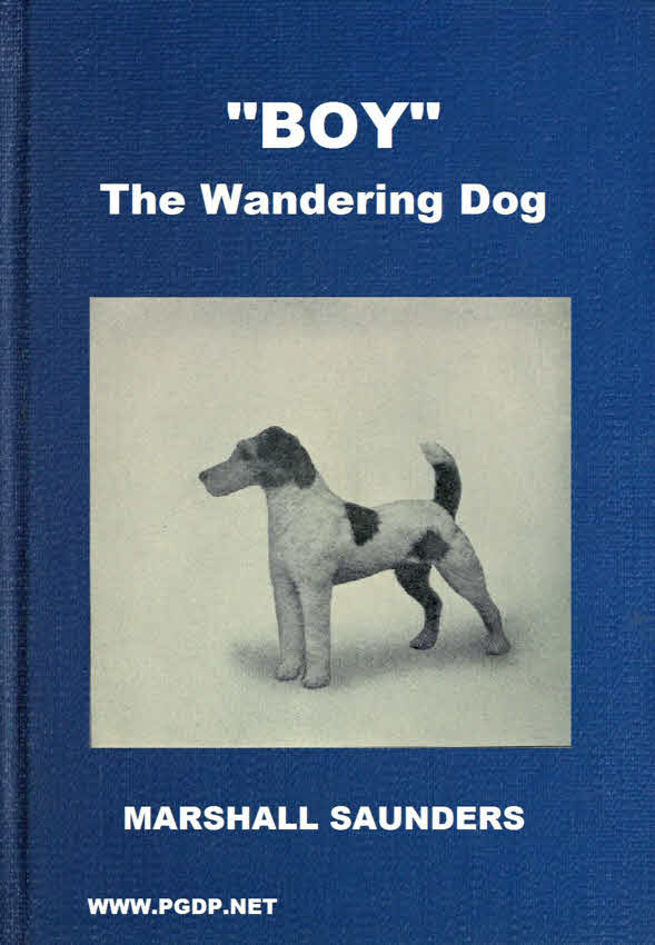 “Boy” the Wandering Dog
