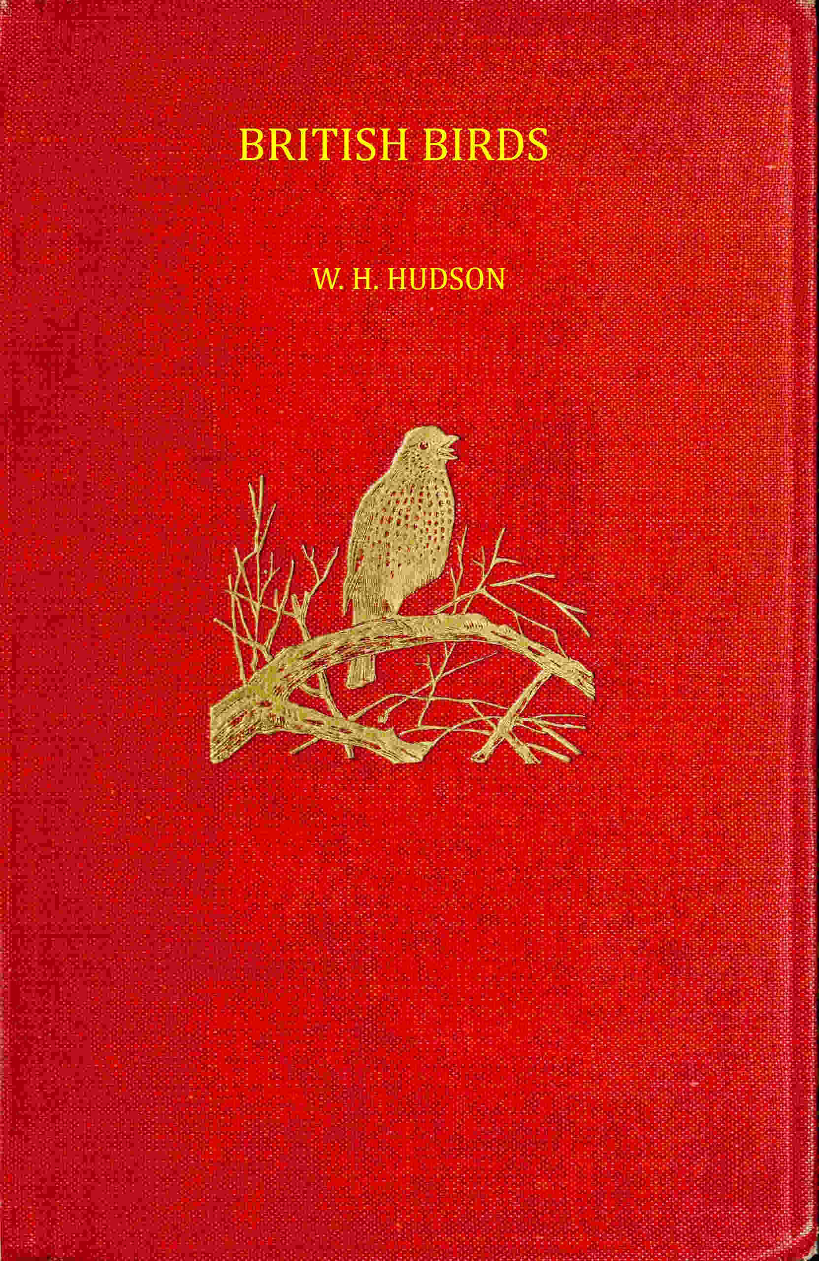 British Birds