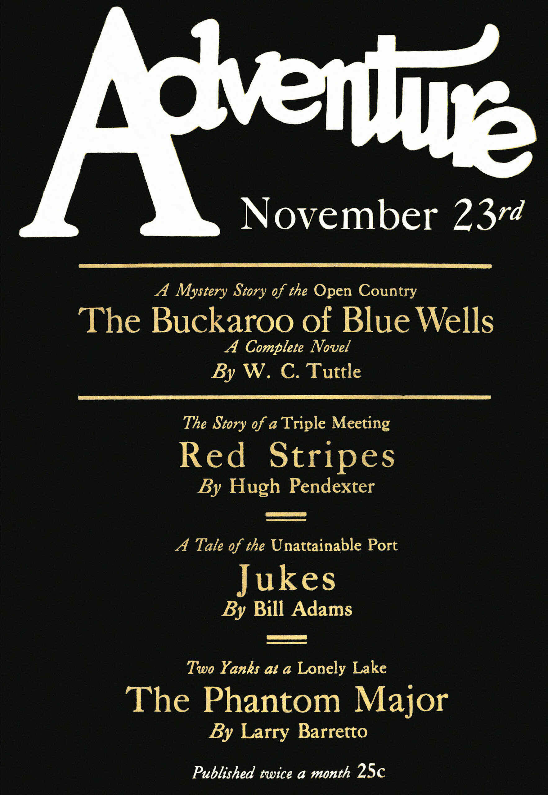 Buckaroo of Blue Wells