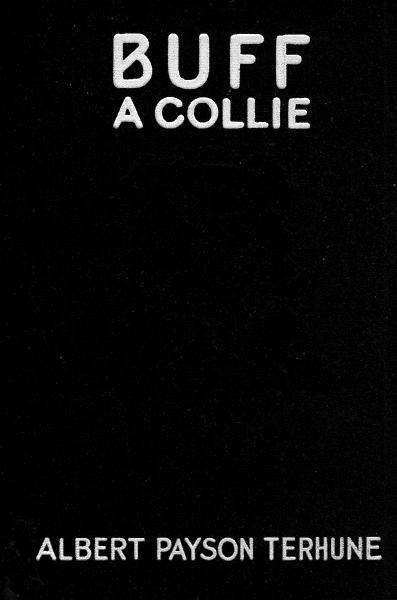 Buff: a Collie