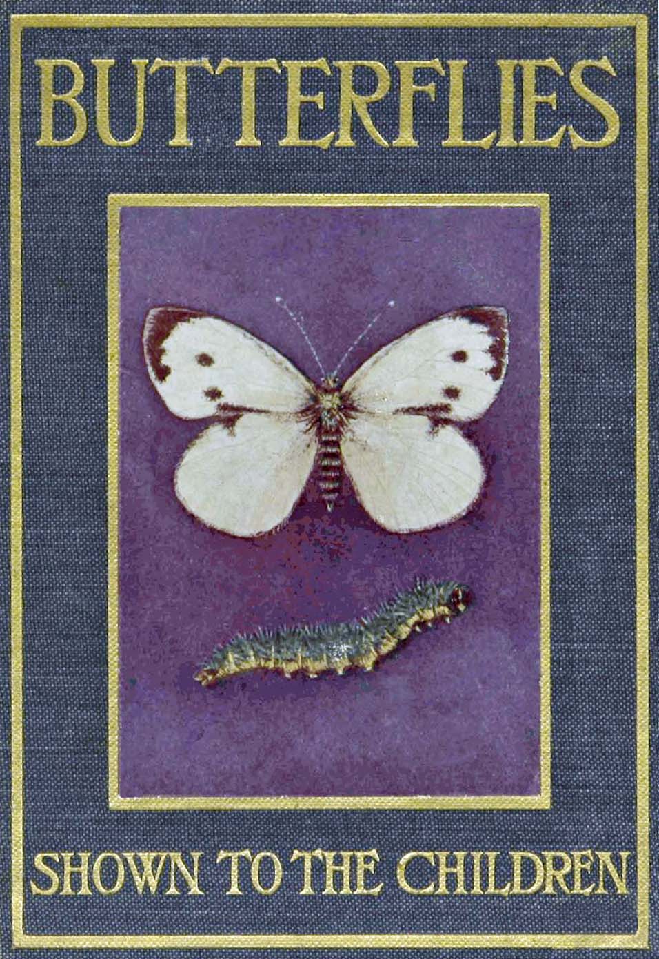 Butterflies and Moths Shown to the Children
