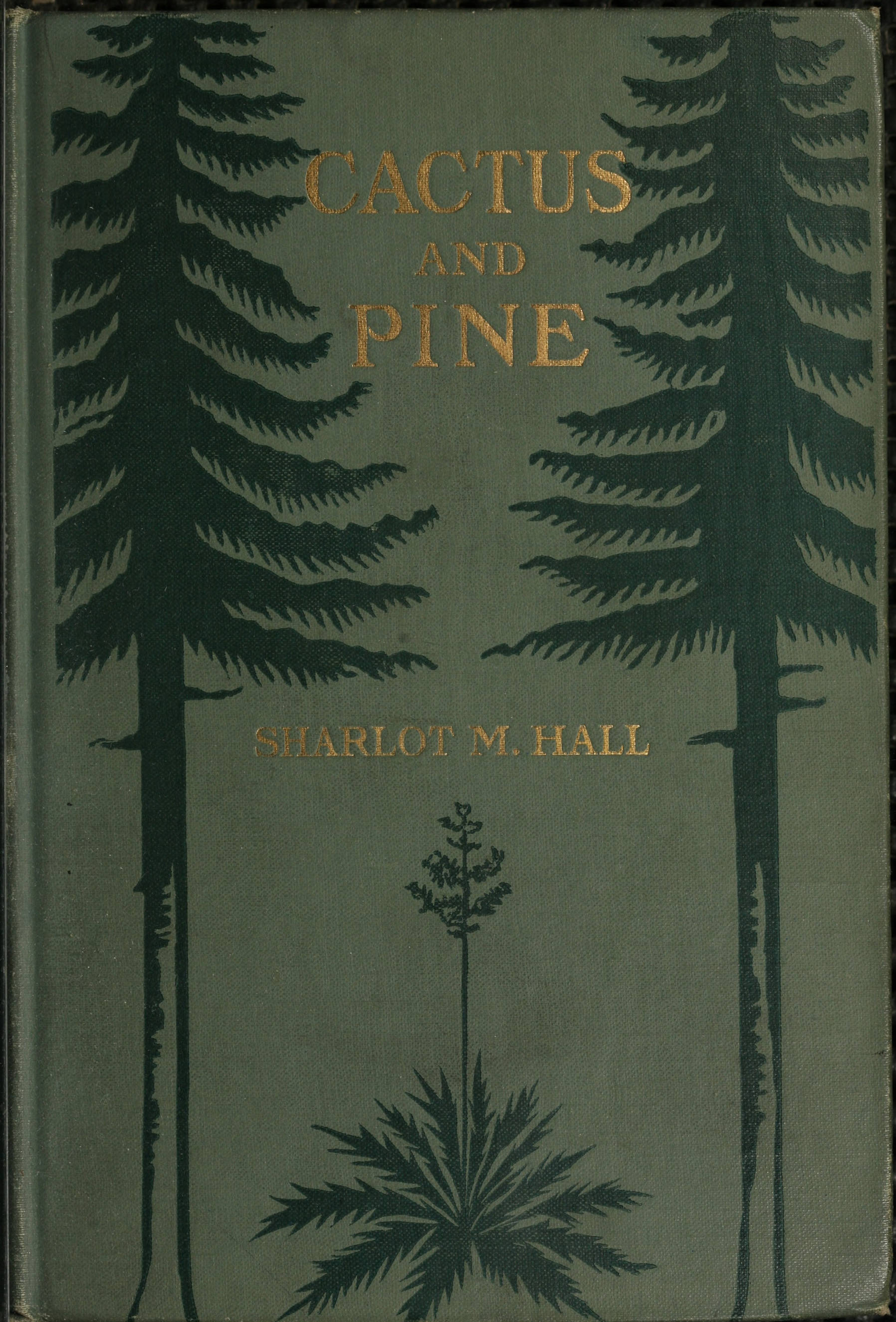 Cactus and Pine Songs of the Southwest