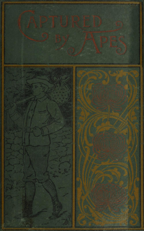 Captured By Apes; or, how Philip Garland became King of Apeland