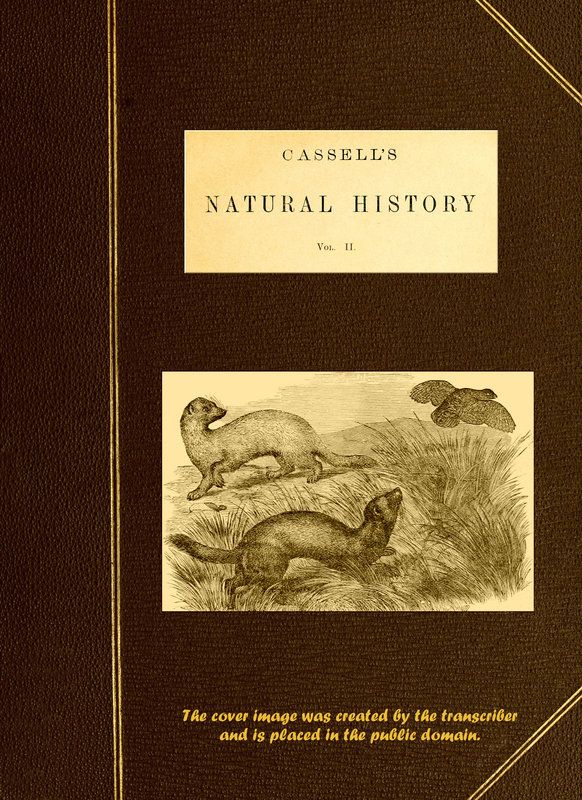 Cassell's Natural History, Vol. II