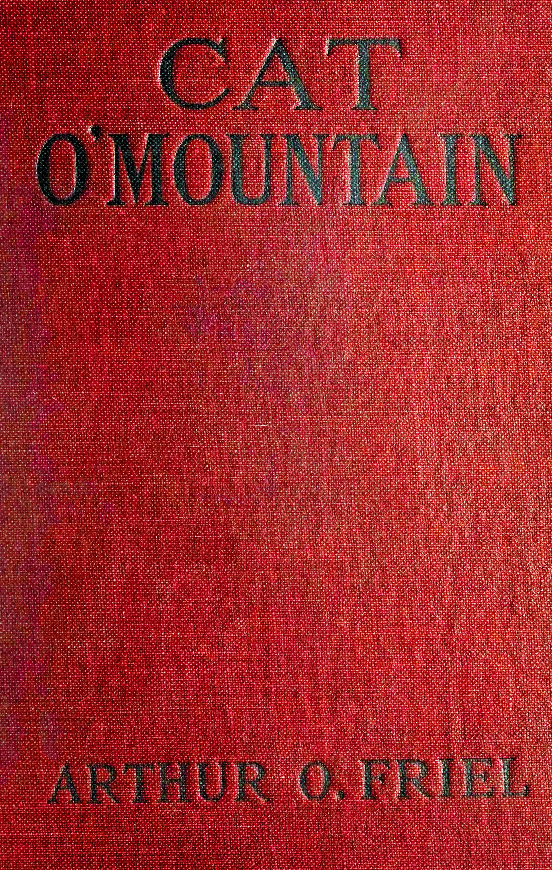 Cat o' mountain