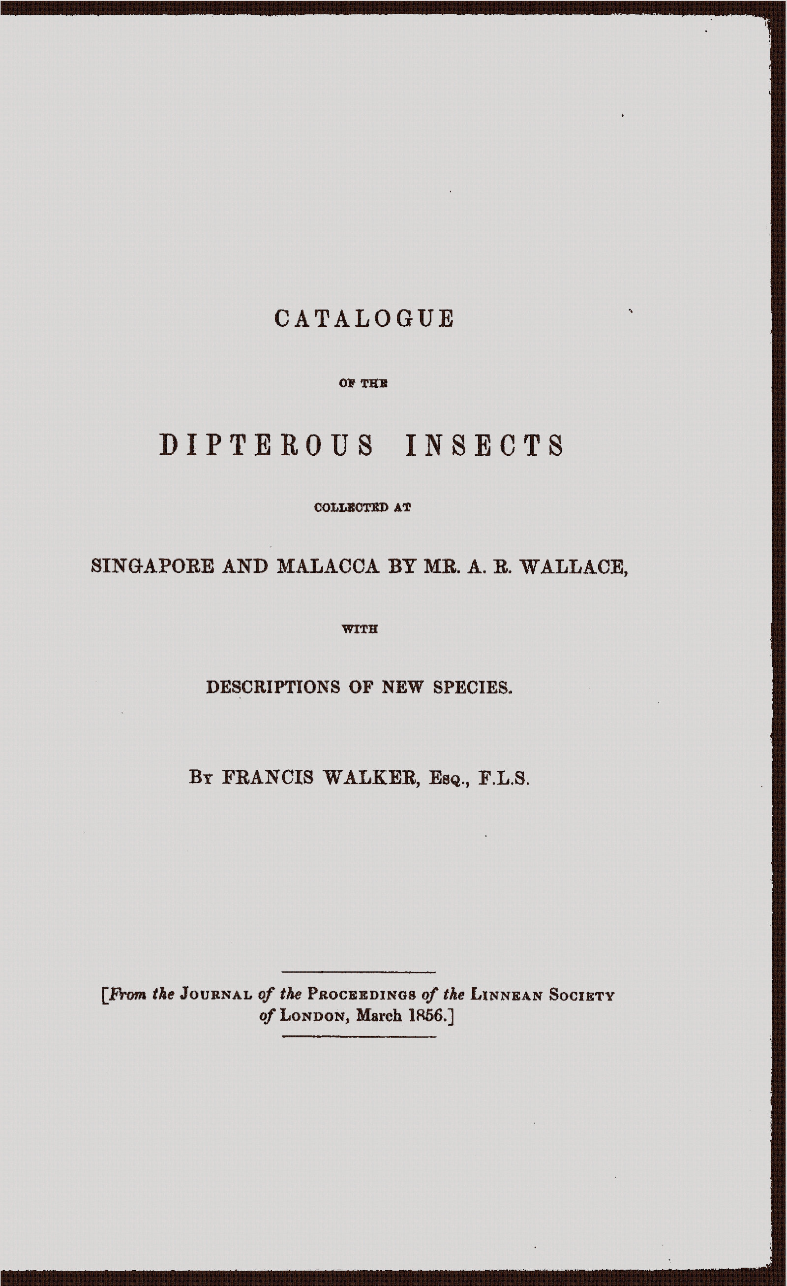 Catalogue of the Dipterous Insects Collected at Singapore and Malacca