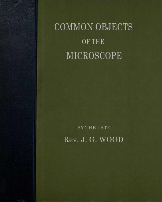 Common Objects of The Microscope