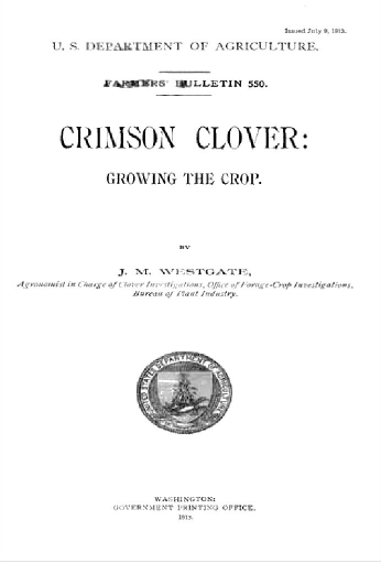 Crimson Clover