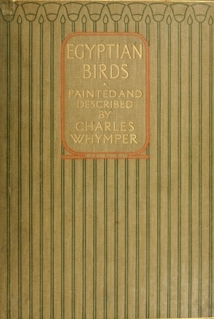 Egyptian Birds