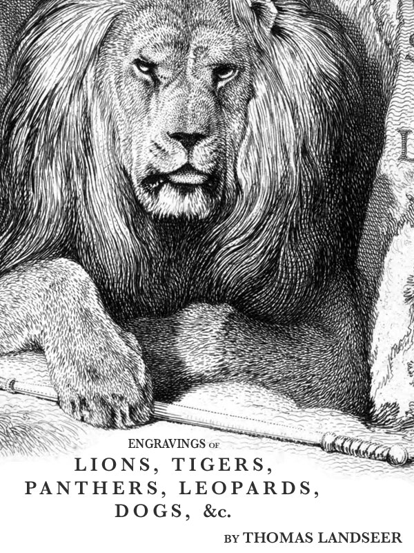Engravings of Lions, Tigers, Panthers, Leopars, Dogs, etc., by Thomas Landseer