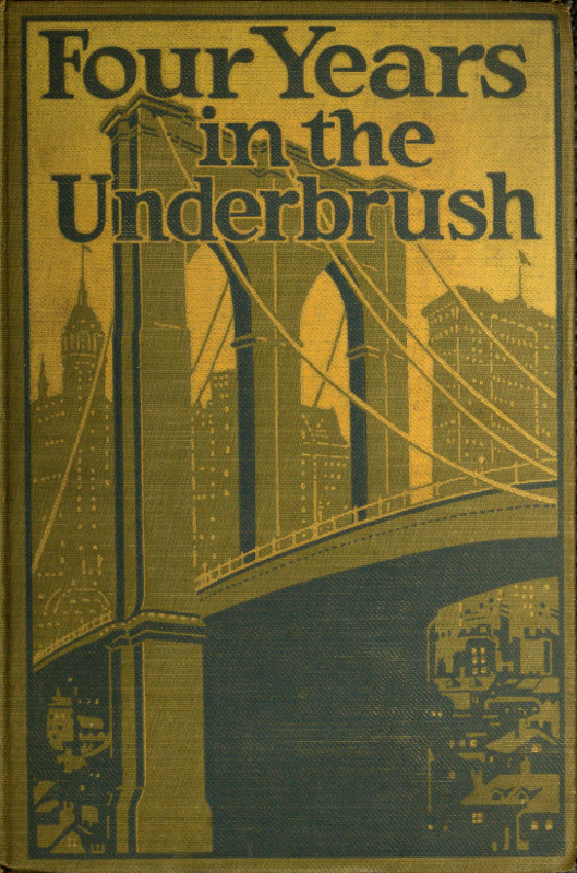 Four Years in the Underbrush, Adventures as a Working Woman in New York
