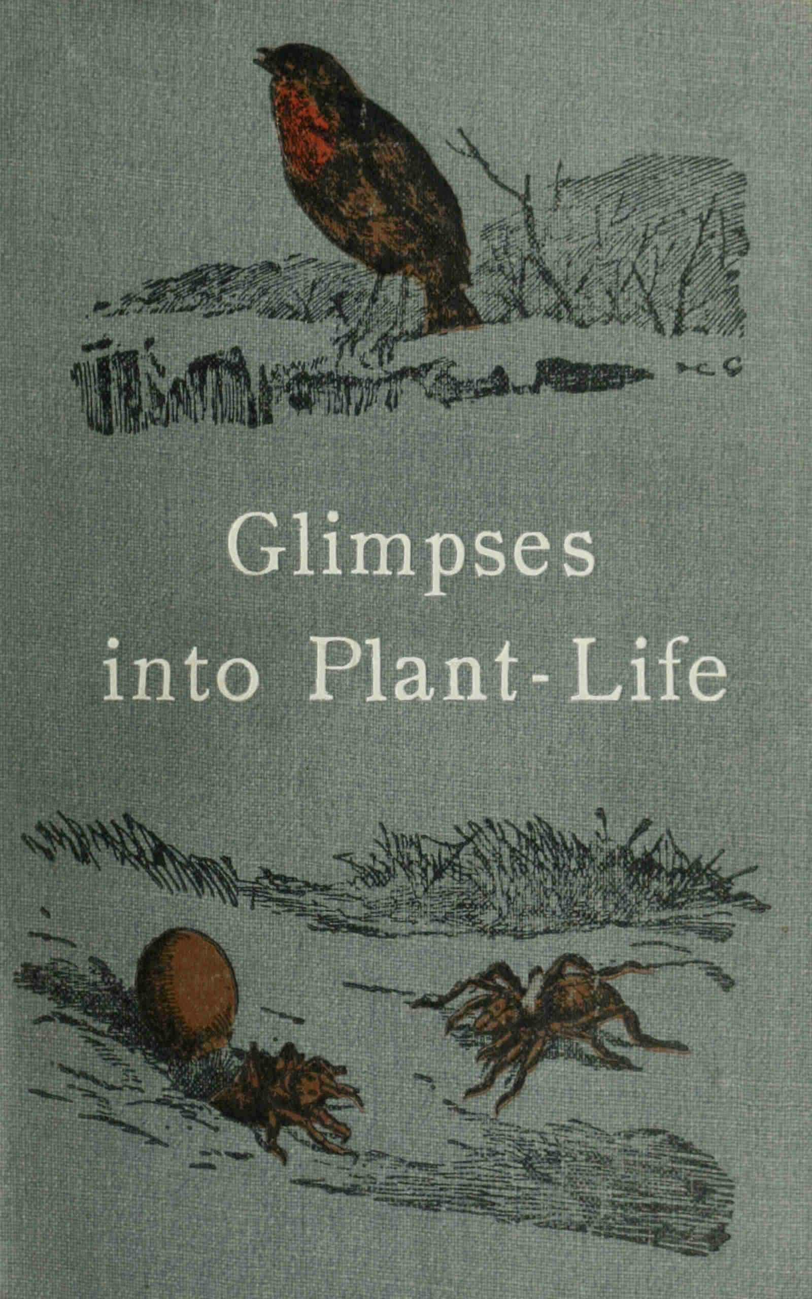 Glimpses into plant-life