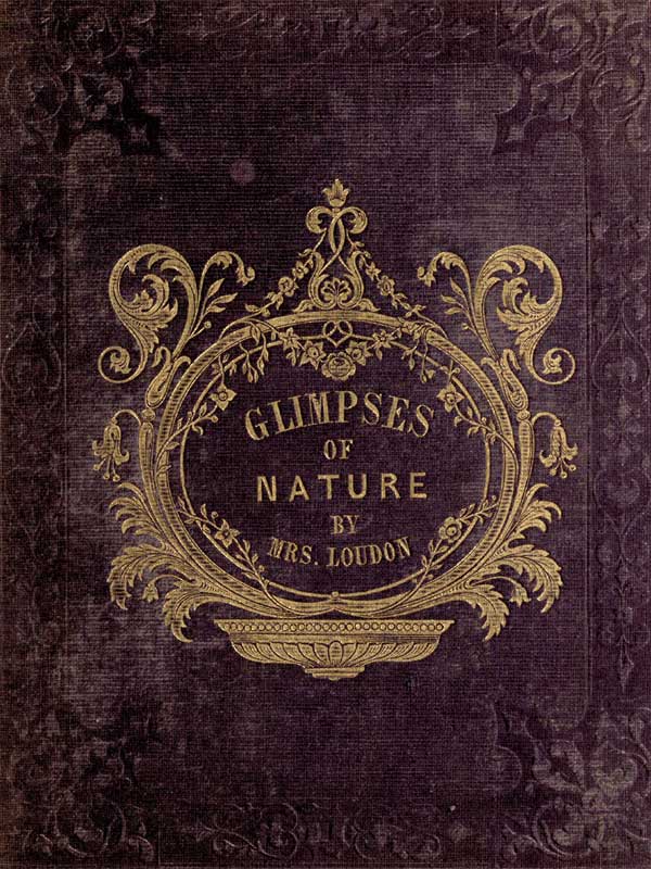 Glimpses of Nature, and Objects of Interest Described, During a Visit to the Isle of Wight