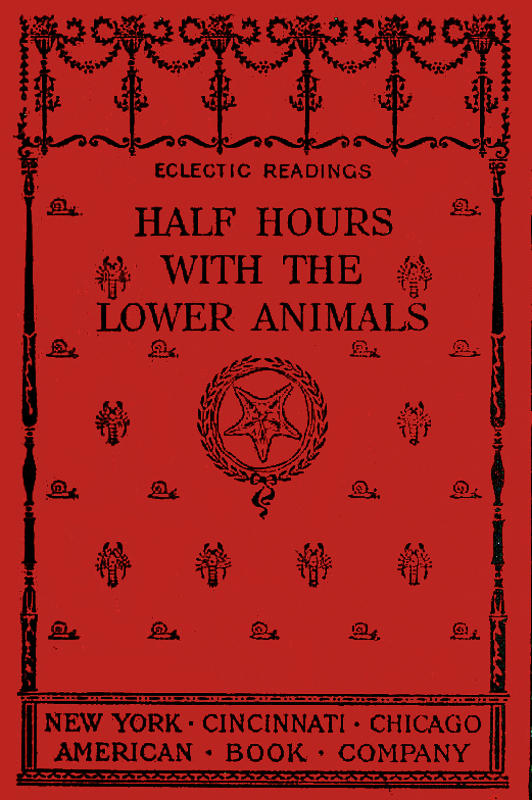 Half Hours with the Lower Animals