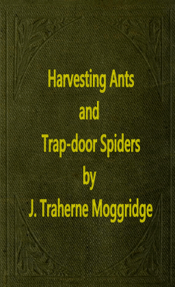 Harvesting Ants and Trap-door Spiders