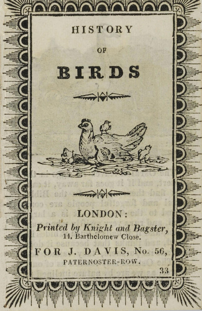 History of Birds